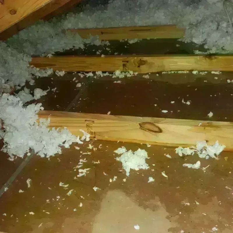 Attic Water Damage in Wellfleet, MA